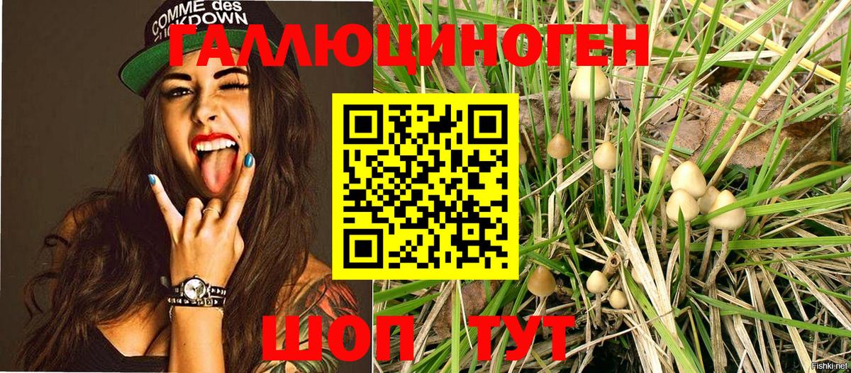 Сергиев Посад  Псилоцибиновые грибы Magic Shrooms  Вход с VPN 